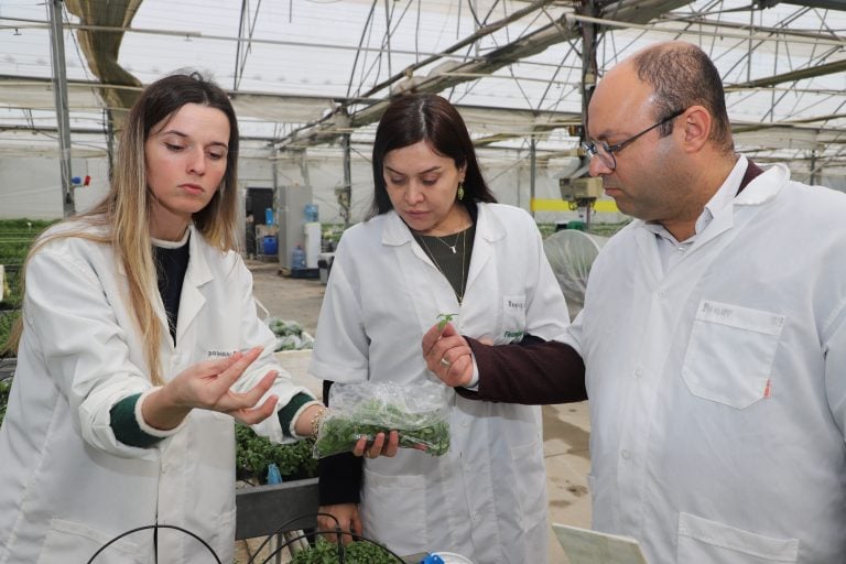 AKSU’DA İSTİHDAMA GÜÇLÜ KÖPRÜ: KARİYER MERKEZİ İŞ ARAYANLARLA İŞVERENLERİ BULUŞTURUYOR