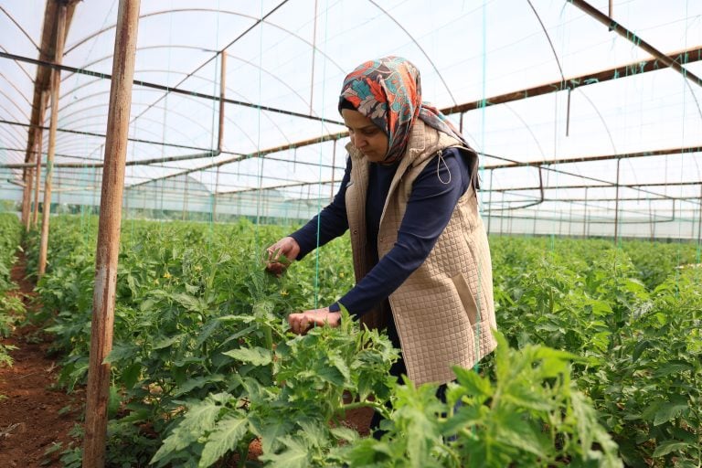 Aksu’da Kadın Üreticilere Güçlü Destek: Seralarda Emek, Dayanışma ve Üretim Bir Arada