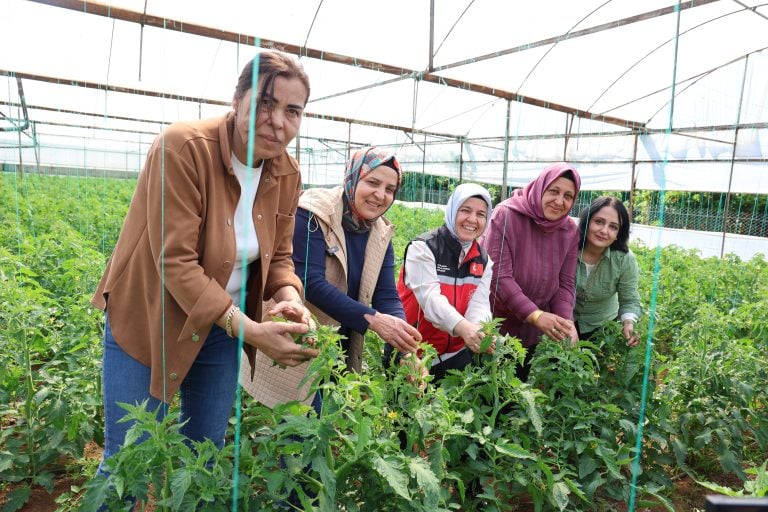 Aksu’da Kadın Üreticilere Güçlü Destek: Seralarda Emek, Dayanışma ve Üretim Bir Arada
