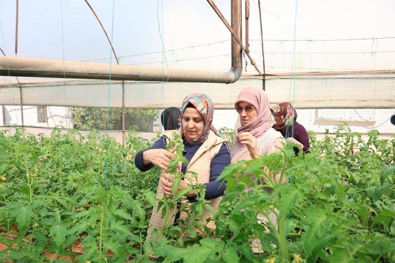 Aksu’da Kadın Üreticilere Güçlü Destek: Seralarda Emek, Dayanışma ve Üretim Bir Arada