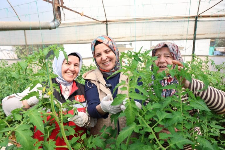 Aksu’da Kadın Üreticilere Güçlü Destek: Seralarda Emek, Dayanışma ve Üretim Bir Arada