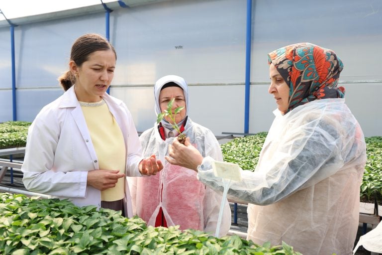 Aksu’da Kadın Üreticilere Güçlü Destek: Seralarda Emek, Dayanışma ve Üretim Bir Arada