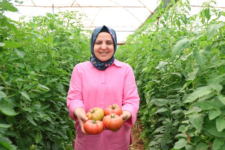 Aksu’da Kadın Üreticilere Güçlü Destek: Seralarda Emek, Dayanışma ve Üretim Bir Arada
