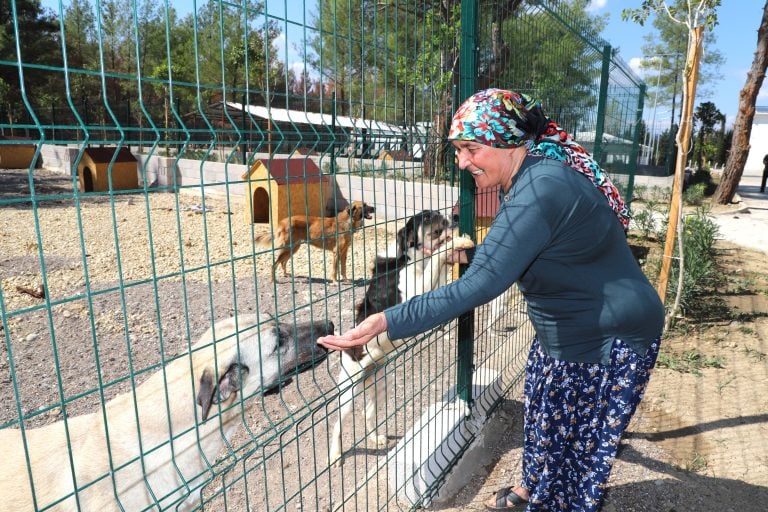 KOPİ, YANGININ ARDINDAN YENİ YUVASINA KAVUŞTU