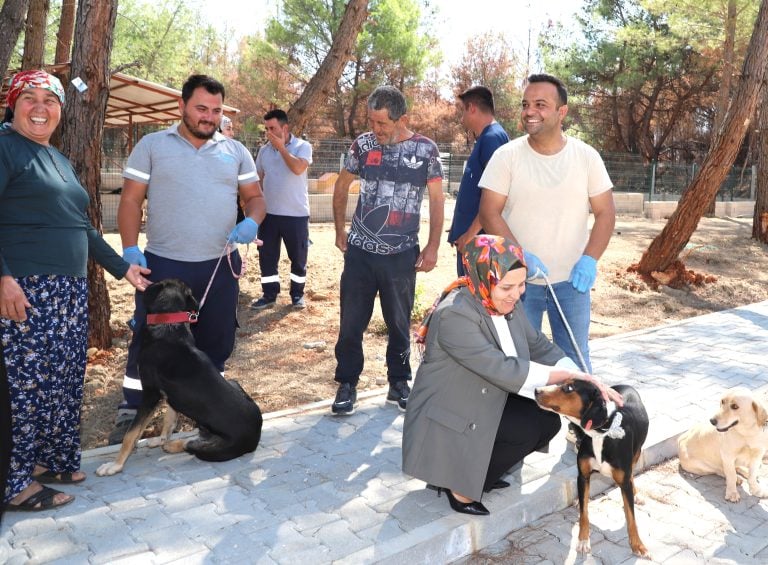 KOPİ, YANGININ ARDINDAN YENİ YUVASINA KAVUŞTU