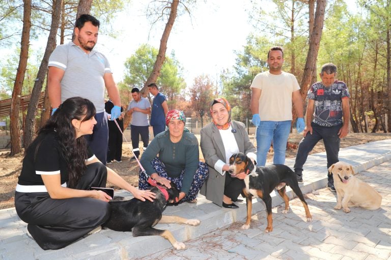 KOPİ, YANGININ ARDINDAN YENİ YUVASINA KAVUŞTU