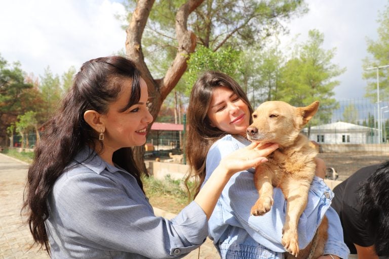 ÇİLEK VE DUMAN, 8 ARKADAŞIYLA BİRLİKTE YENİ YUVALARINA KAVUŞTU